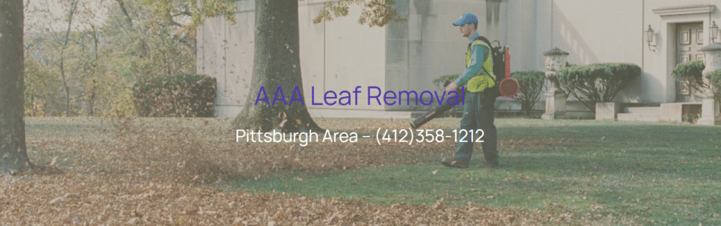 AAA Leaf Removal